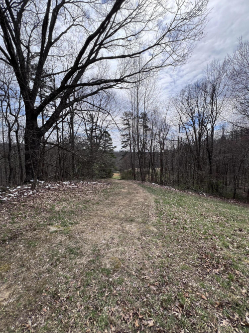 Listing Image 59