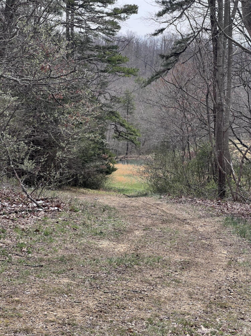 Listing Image 60