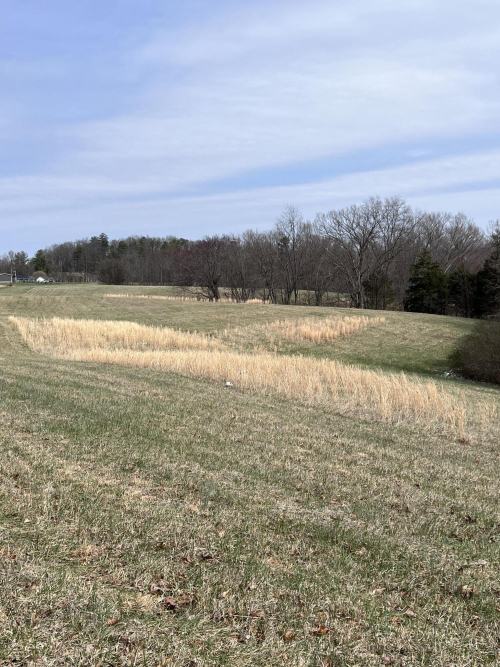 Listing Image 61