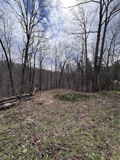 Listing Image 62