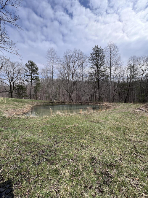 Listing Image 63