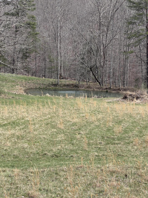 Listing Image 64