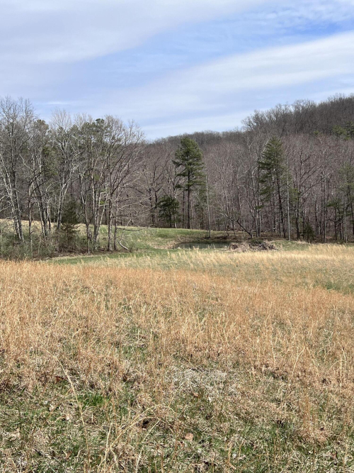 Listing Image 65