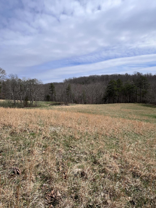 Listing Image 66