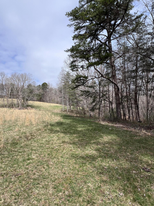 Listing Image 67