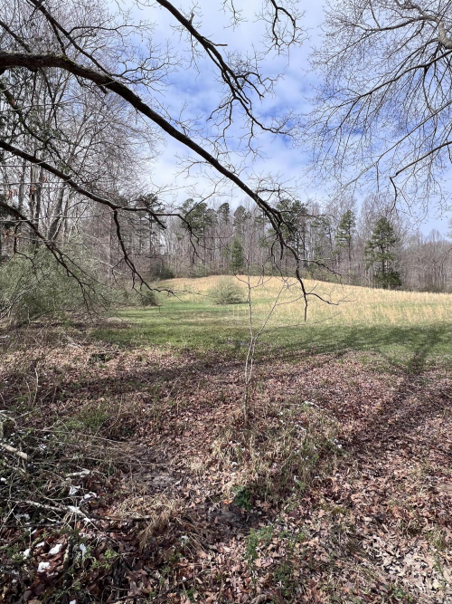 Listing Image 68