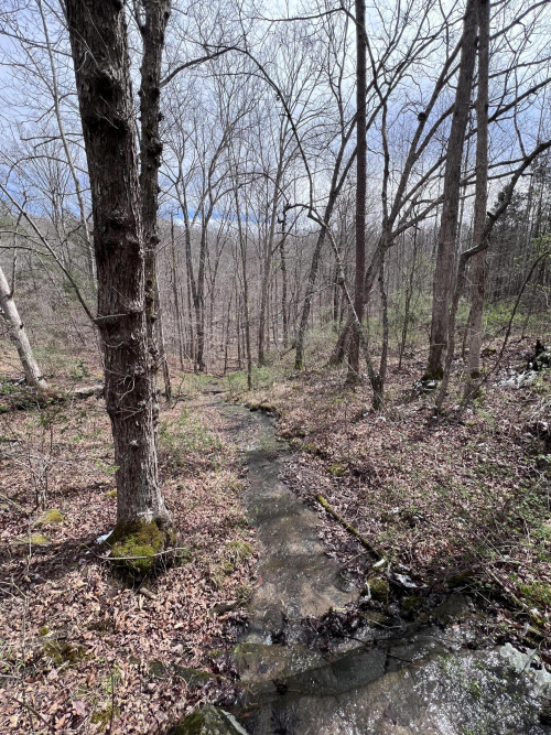 Listing Image 69