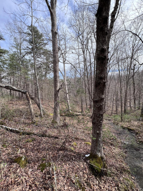 Listing Image 70