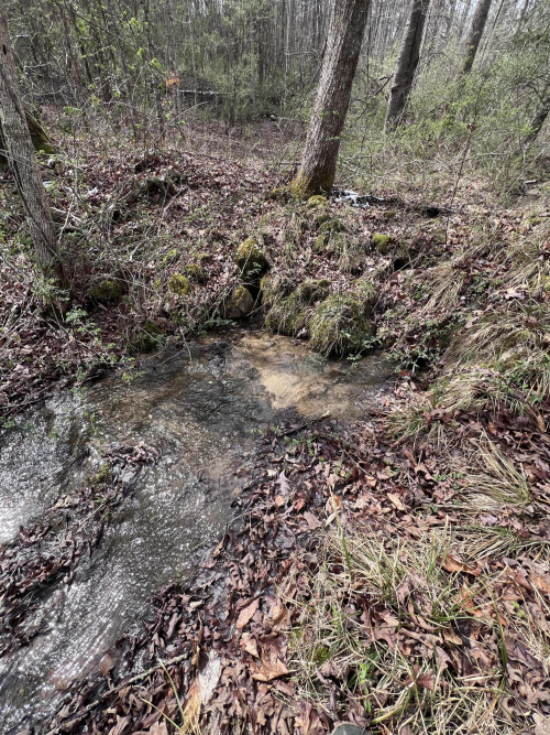 Listing Image 71