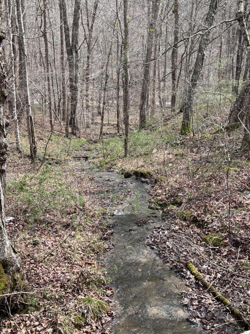 Listing Image 72