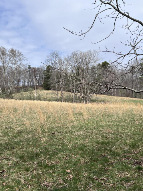 Listing Image 74
