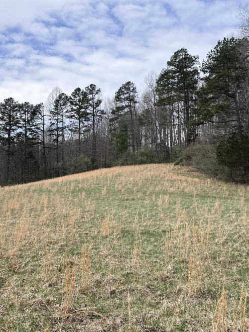 Listing Image 75