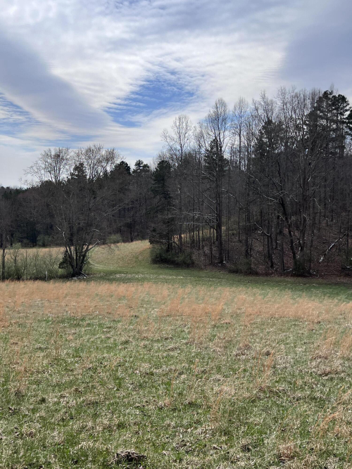 Listing Image 76
