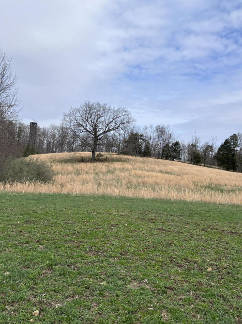 Listing Image 77