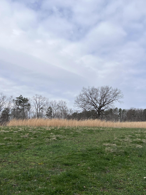 Listing Image 78