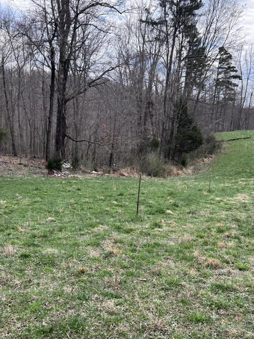 Listing Image 79