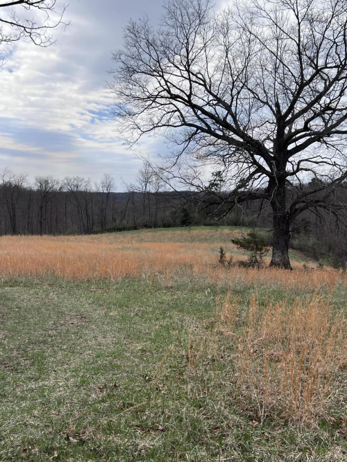 Listing Image 80