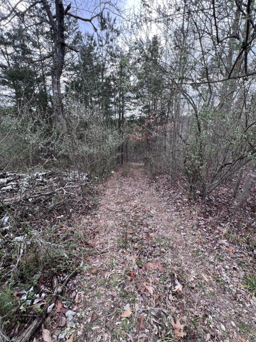 Listing Image 81