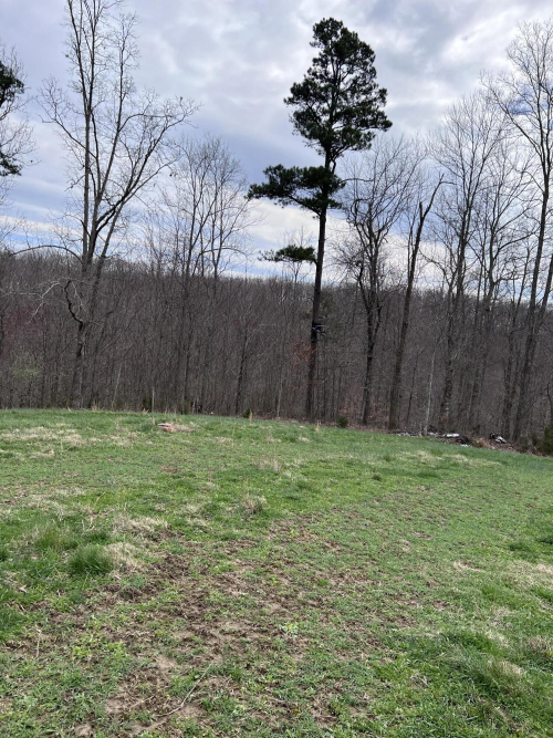 Listing Image 82
