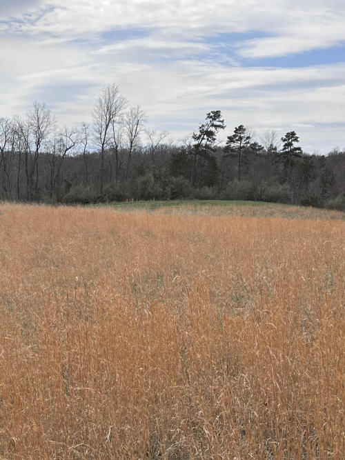 Listing Image 83
