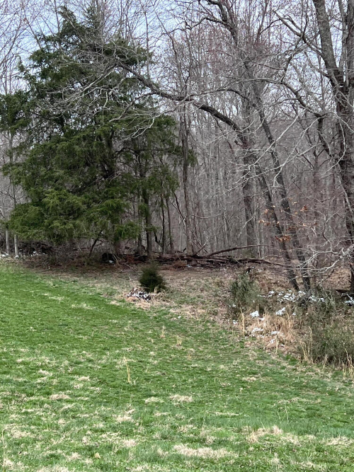 Listing Image 84