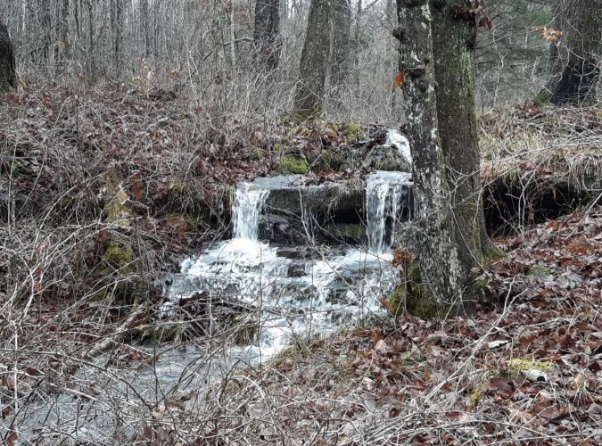 Listing Image 88