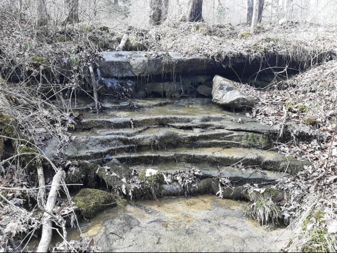 Listing Image 89