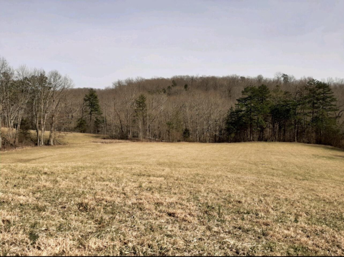 Listing Image 97