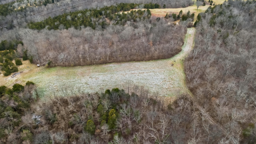Listing Image 12