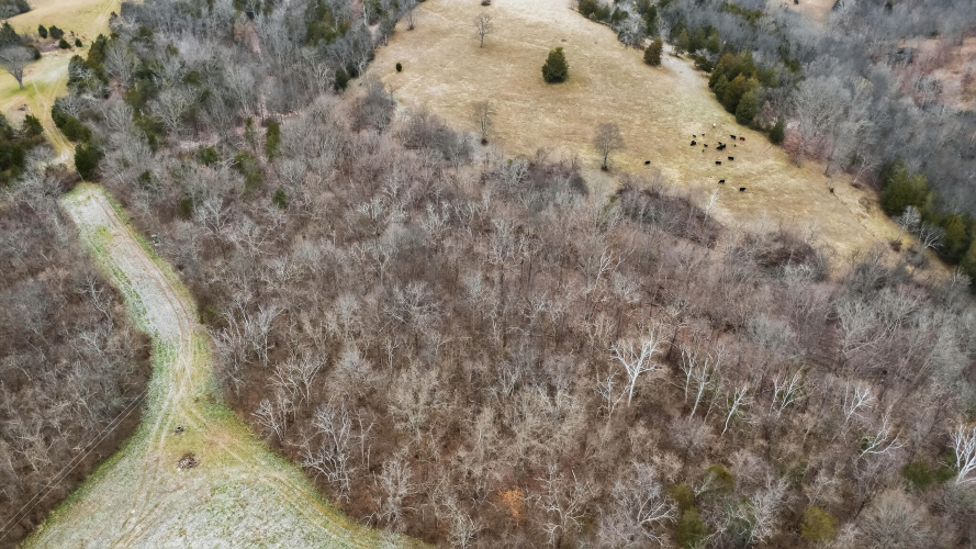 Listing Image 13