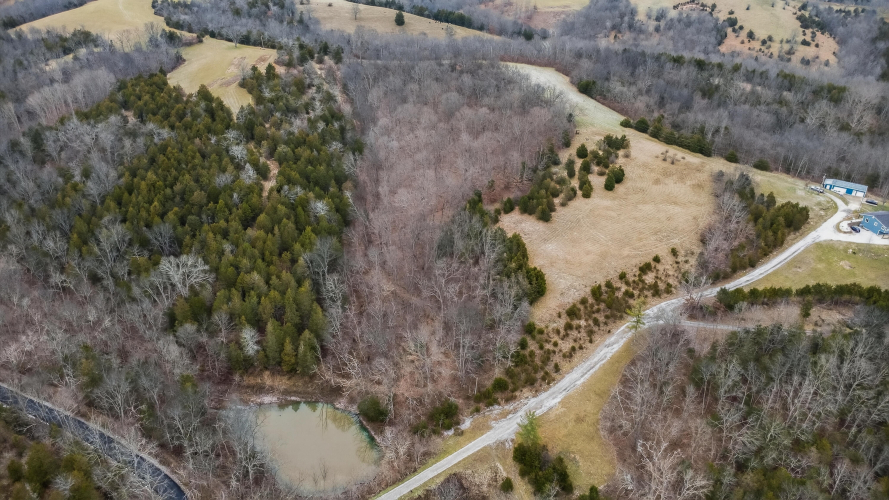 Listing Image 21