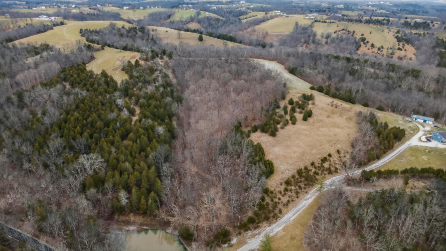 Listing Image 22