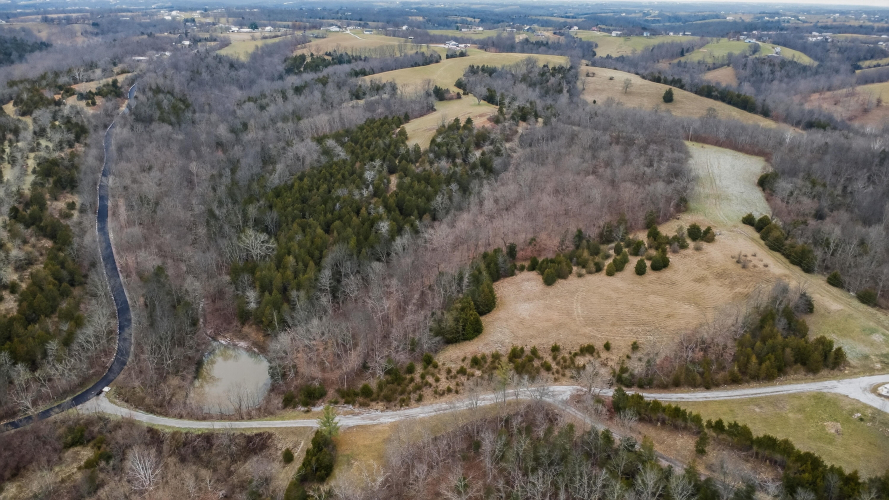 Listing Image 23