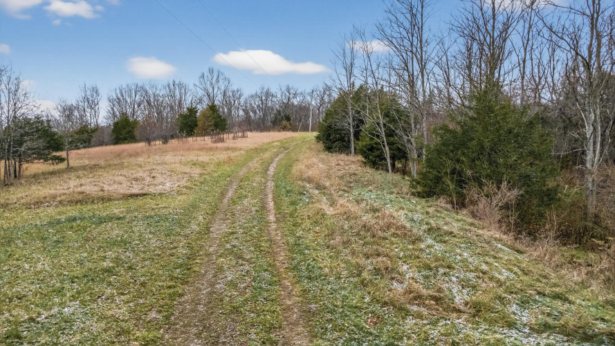 Listing Image 27