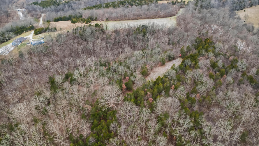 Listing Image 10