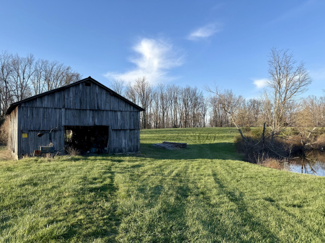 Listing Image 31