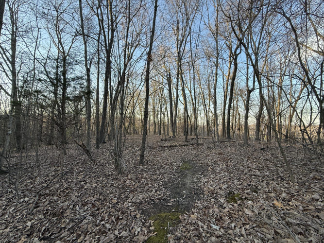 Listing Image 33