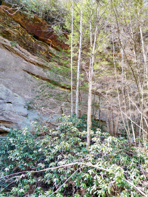 Listing Image 14