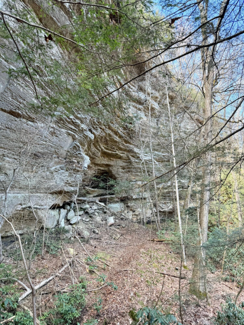 Listing Image 17