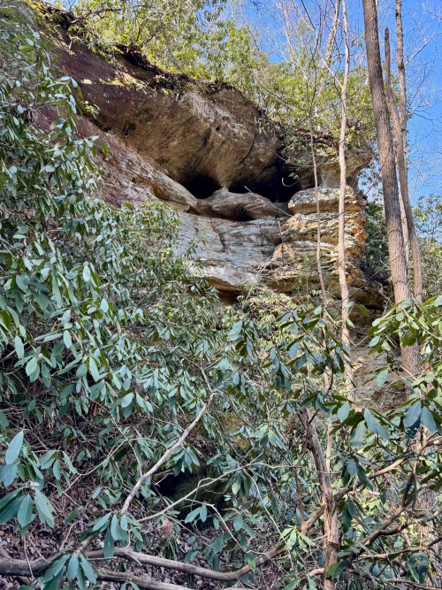 Listing Image 22