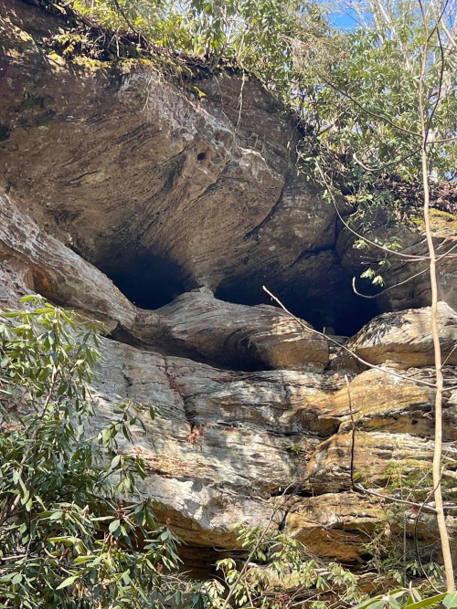 Listing Image 33