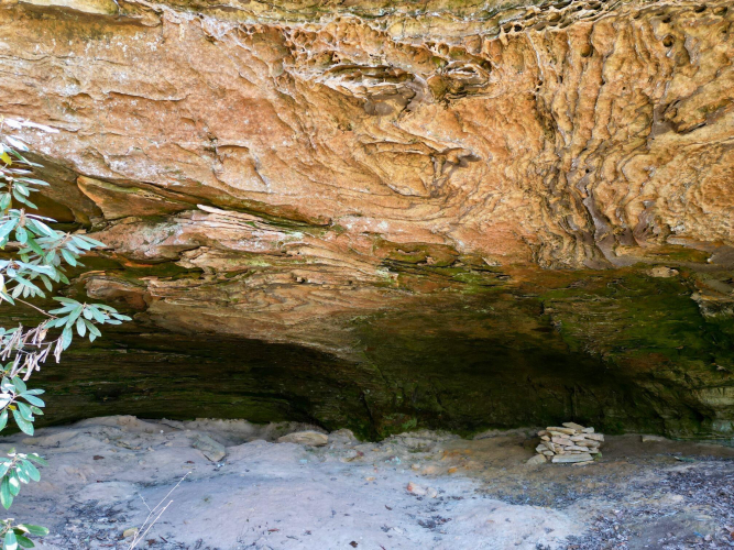 Listing Image 47