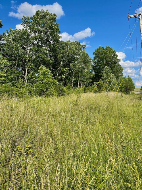 Listing Image 66