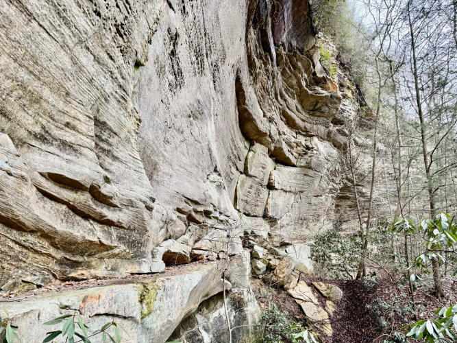 Listing Image 67