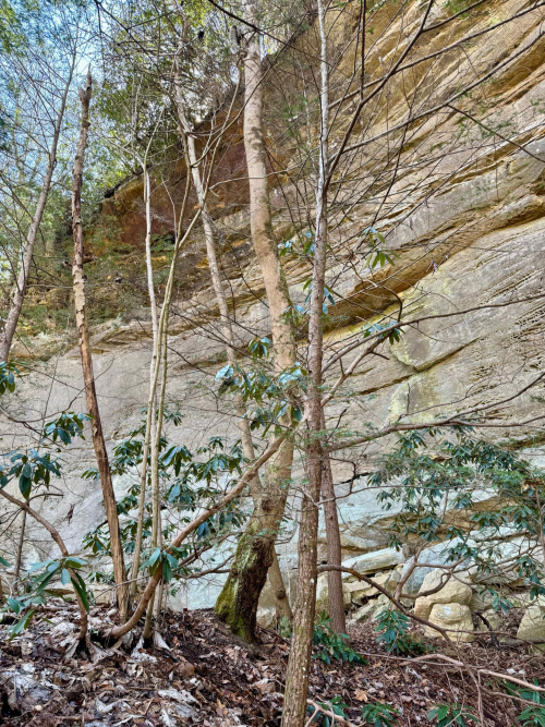 Listing Image 68