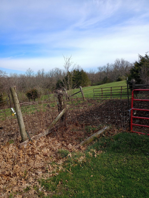 Listing Image 16