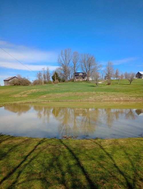 Listing Image 22