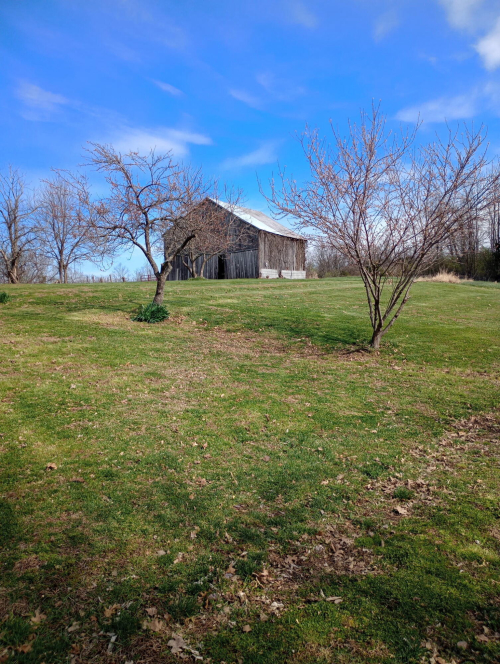 Listing Image 19