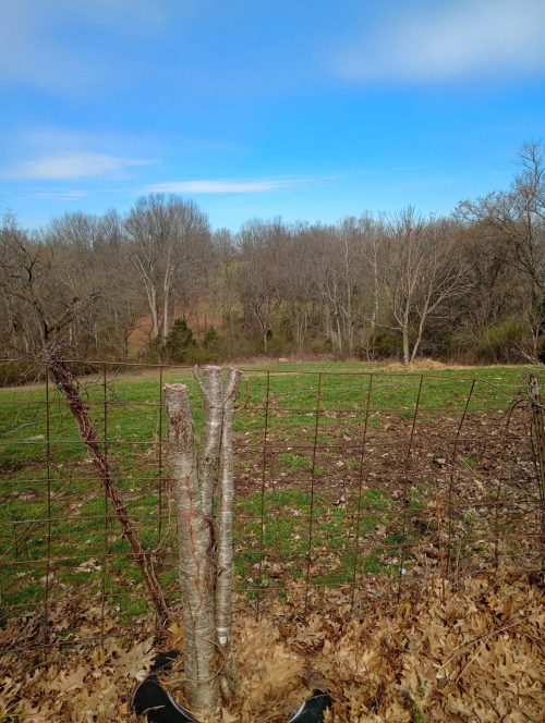 Listing Image 20