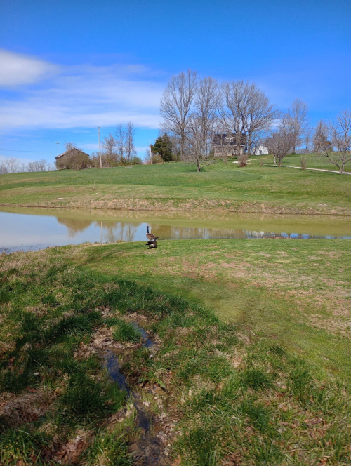 Listing Image 25